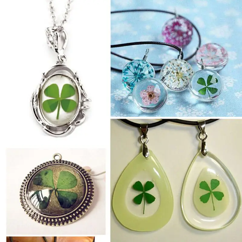 Trèfle à feuilles séchées port - Body Jewelry Display Case avis et prix